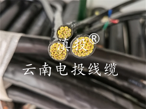 计算机电缆DJVPVP22