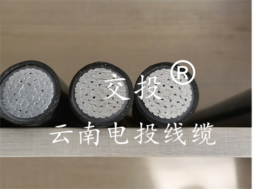 单芯电缆YJLV 1*300