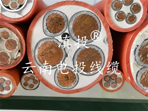 矿物质电缆YTTW 4*50+1
