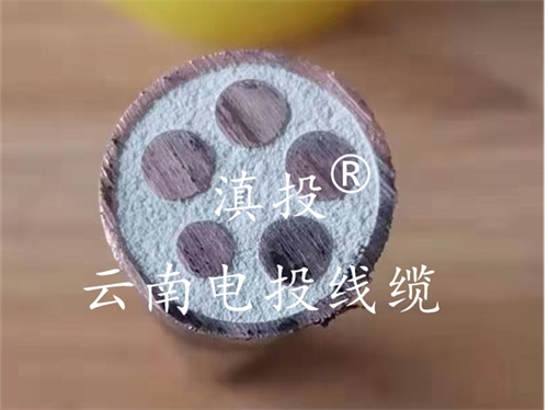 BTTRZ矿物质电缆