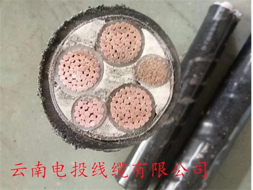 低烟无卤电缆WDZN-YJY 5X10