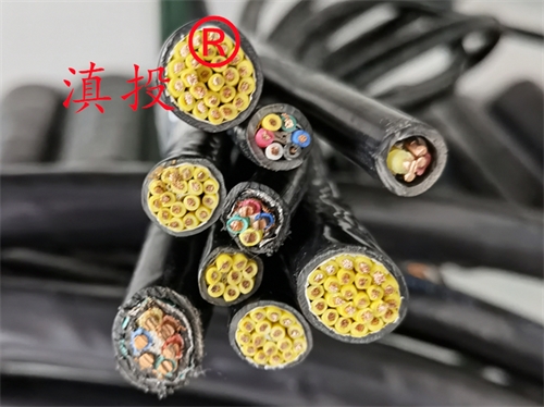 计算机电缆ZRDJYPVPR