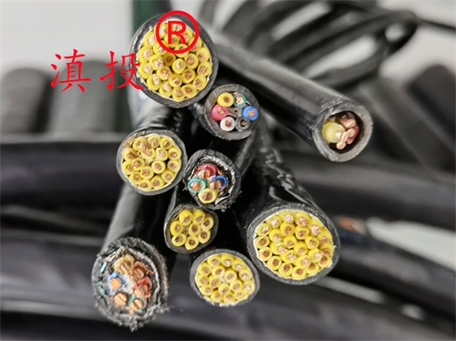 计算机电缆ZRDJYPVPR