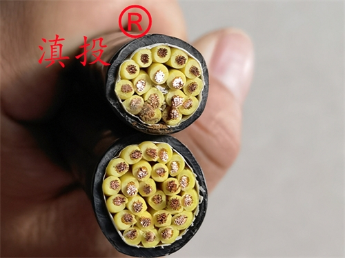 消防花线ZRRVS2*1