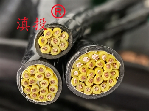 消防花线双绞线ZRRVS 2X4