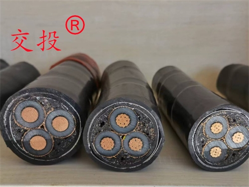 10KV电缆热缩户内终端